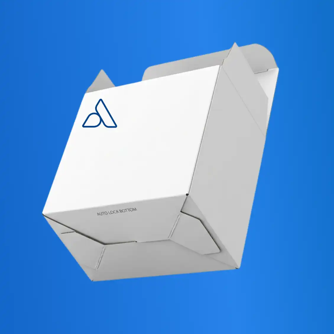 Auto Lock Bottom Box - AP Percetakan